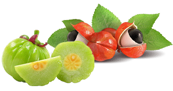 Guarana och Garcinia Cambogia