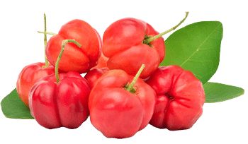 Acerola