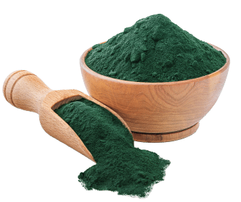 Spirulina